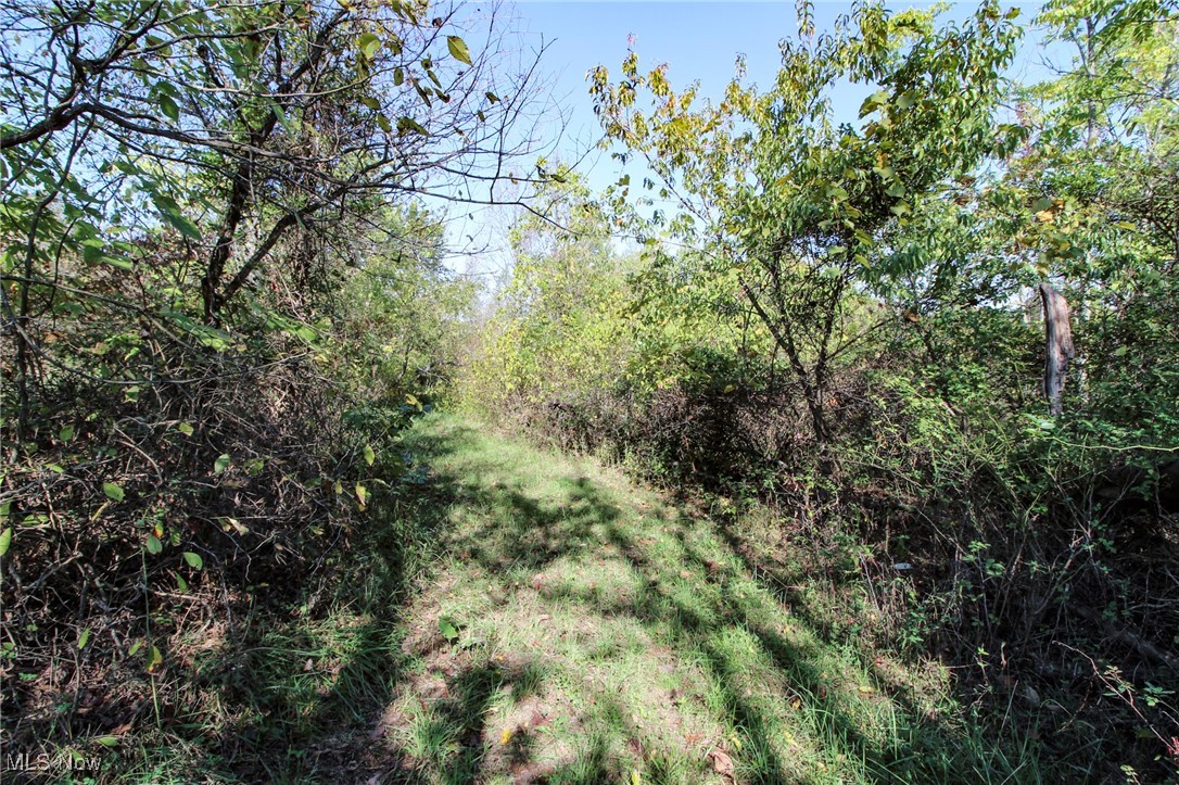 Lot 3 Moss Run Road, Marietta, Ohio image 11