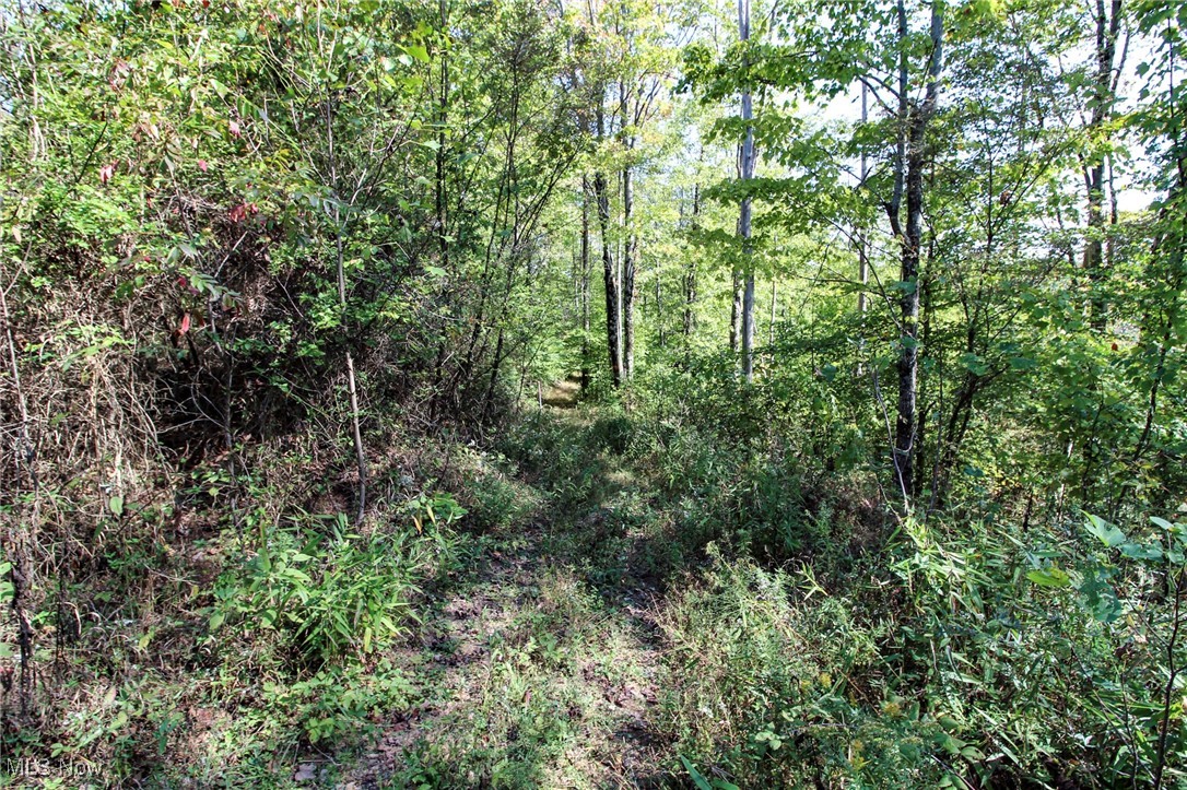 Lot 3 Moss Run Road, Marietta, Ohio image 15