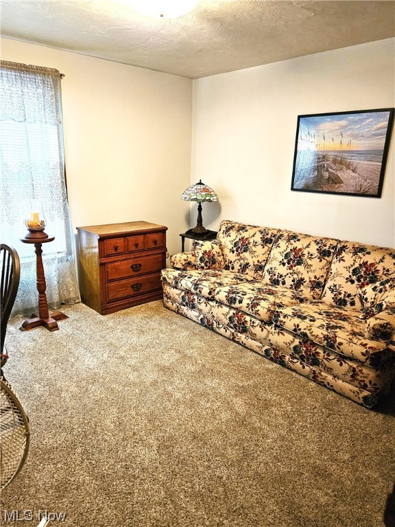 Tanglewood Condominiums - Residential