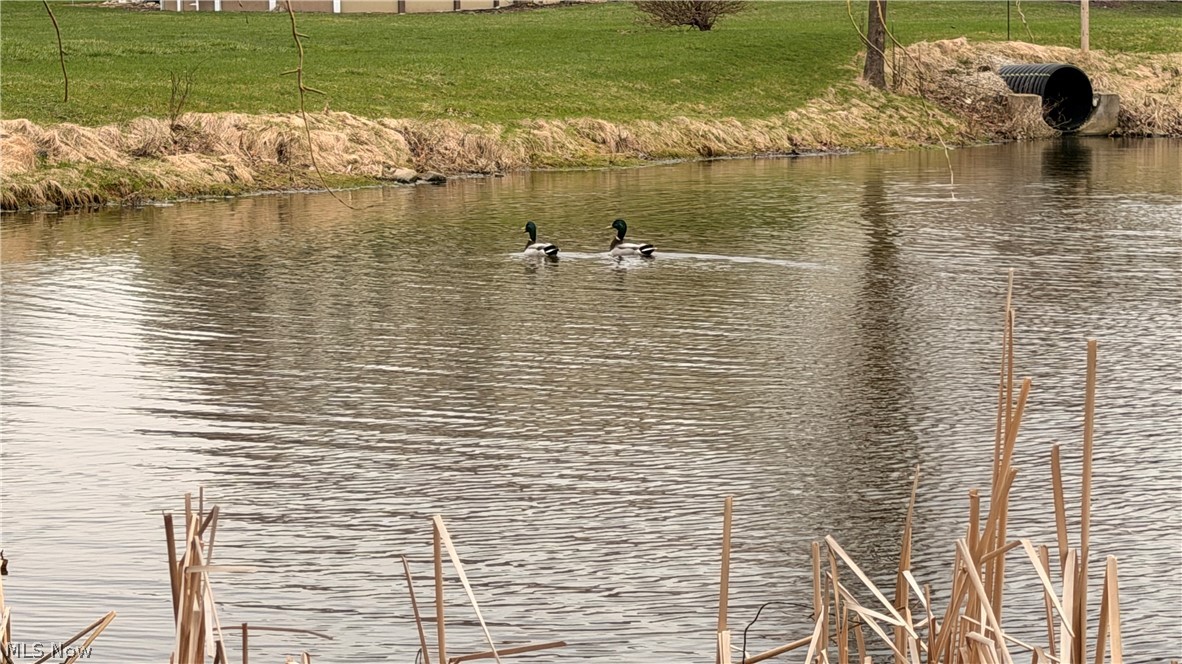 Morning Song Farms Sub-Phase2 - Land