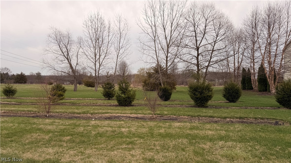 Morning Song Farms Sub-Phase2 - Land