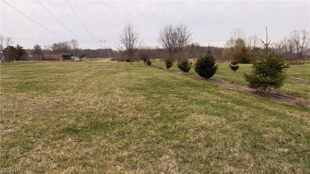 Morning Song Farms Sub-Phase2 - Land