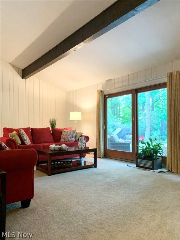 French Hollow 06 - Residential