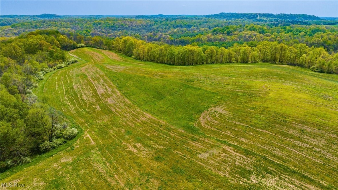 S Leedom Road, Chandlersville, Ohio image 12