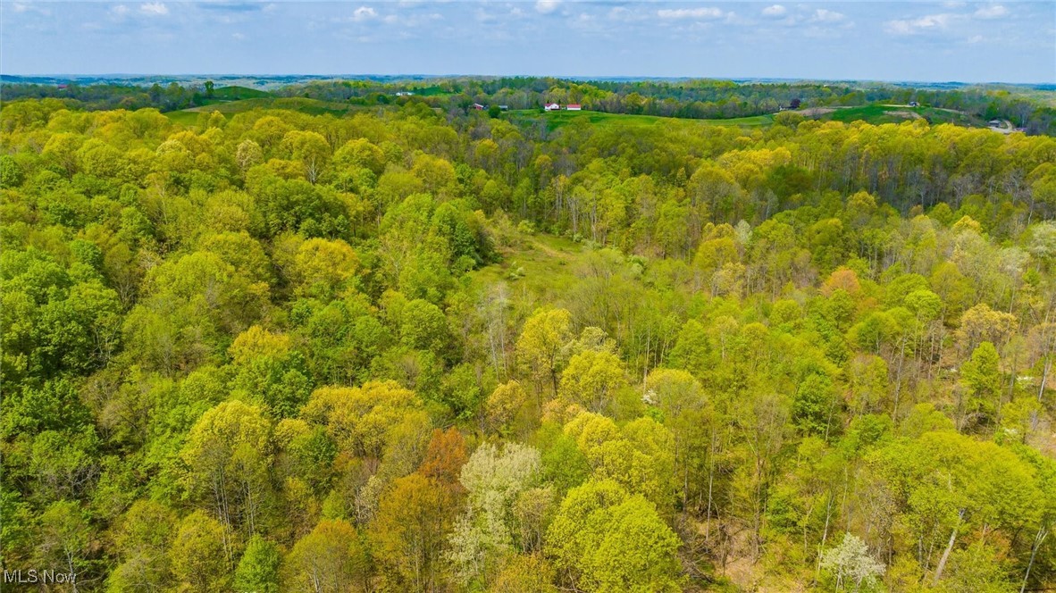 S Leedom Road, Chandlersville, Ohio image 24