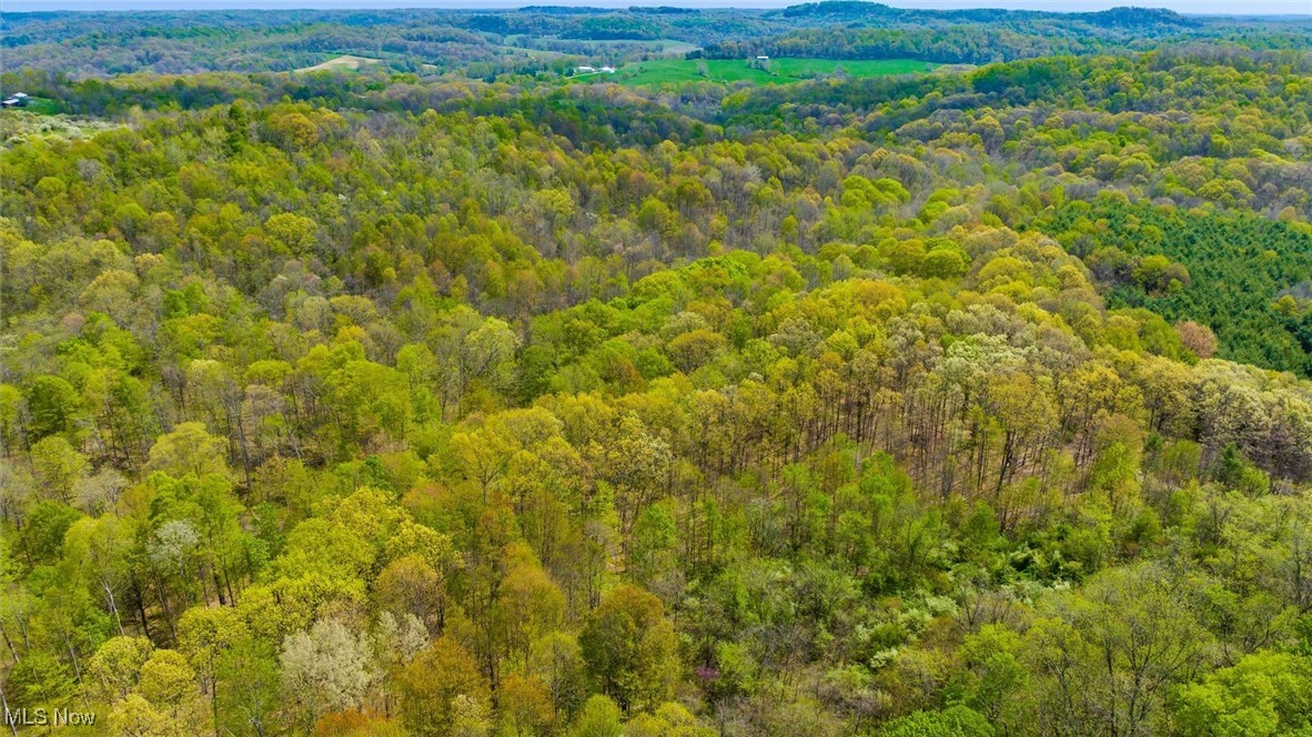 S Leedom Road, Chandlersville, Ohio image 23