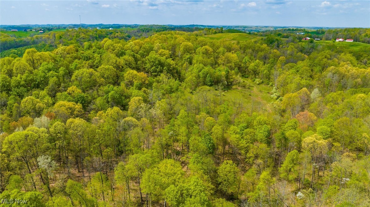 S Leedom Road, Chandlersville, Ohio image 20