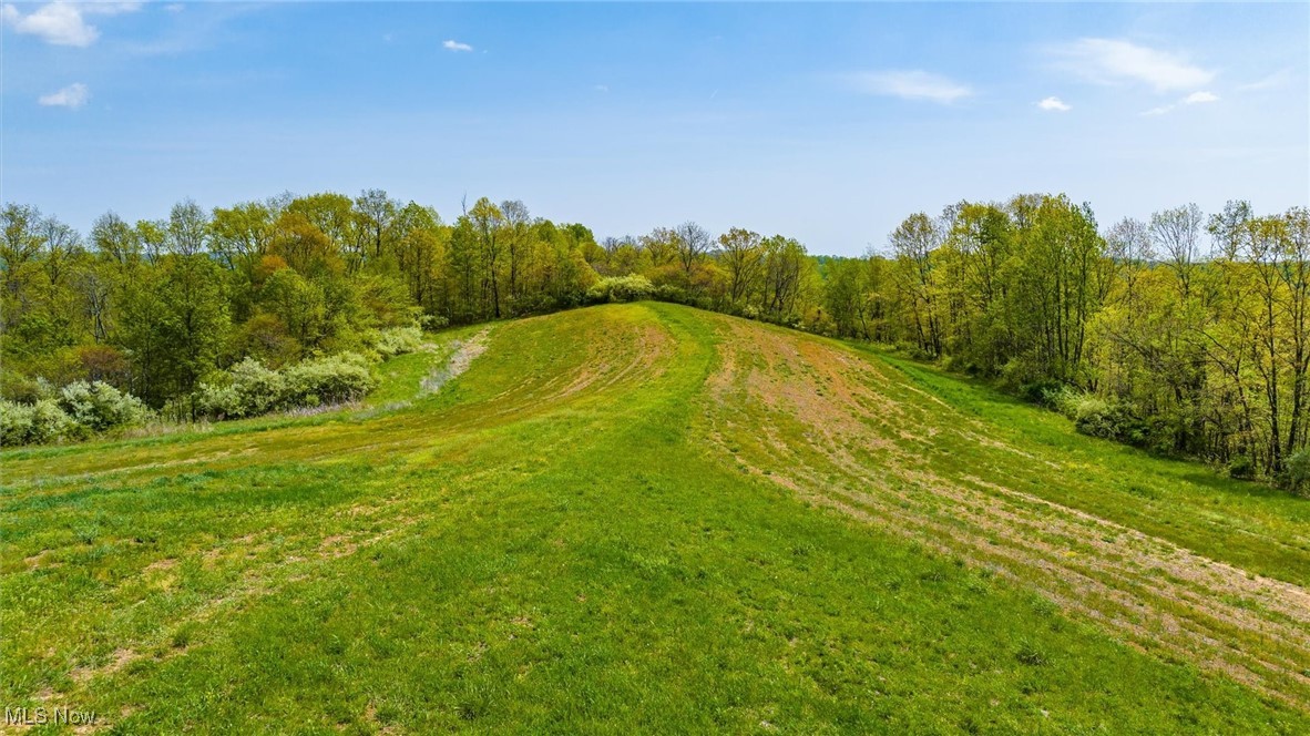 S Leedom Road, Chandlersville, Ohio image 9