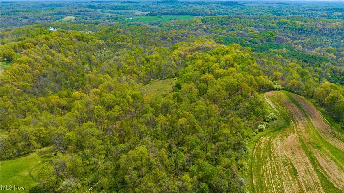 S Leedom Road, Chandlersville, Ohio image 19