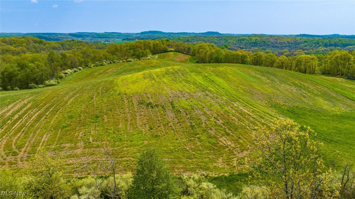 S Leedom Road, Chandlersville, Ohio image 10