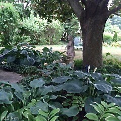 Crestview - Residential