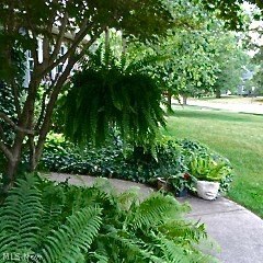 Crestview - Residential