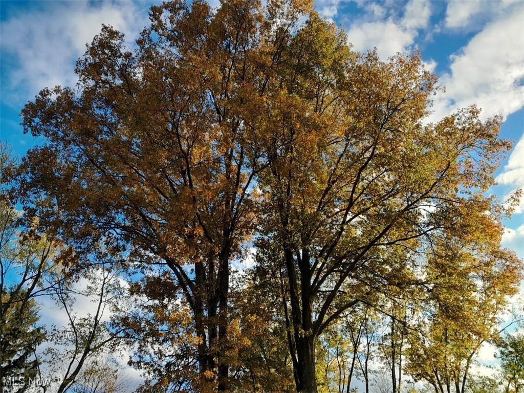 Fair Park 02 - Residential