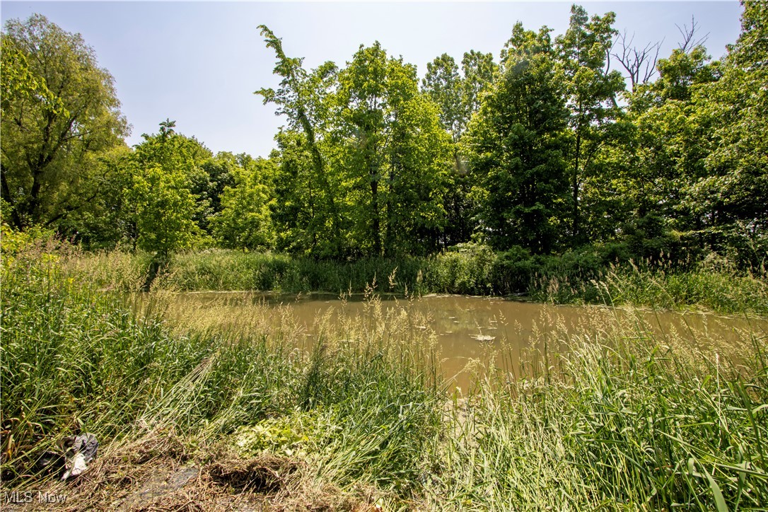 44544 Stewart Road, Wellington, Ohio image 48