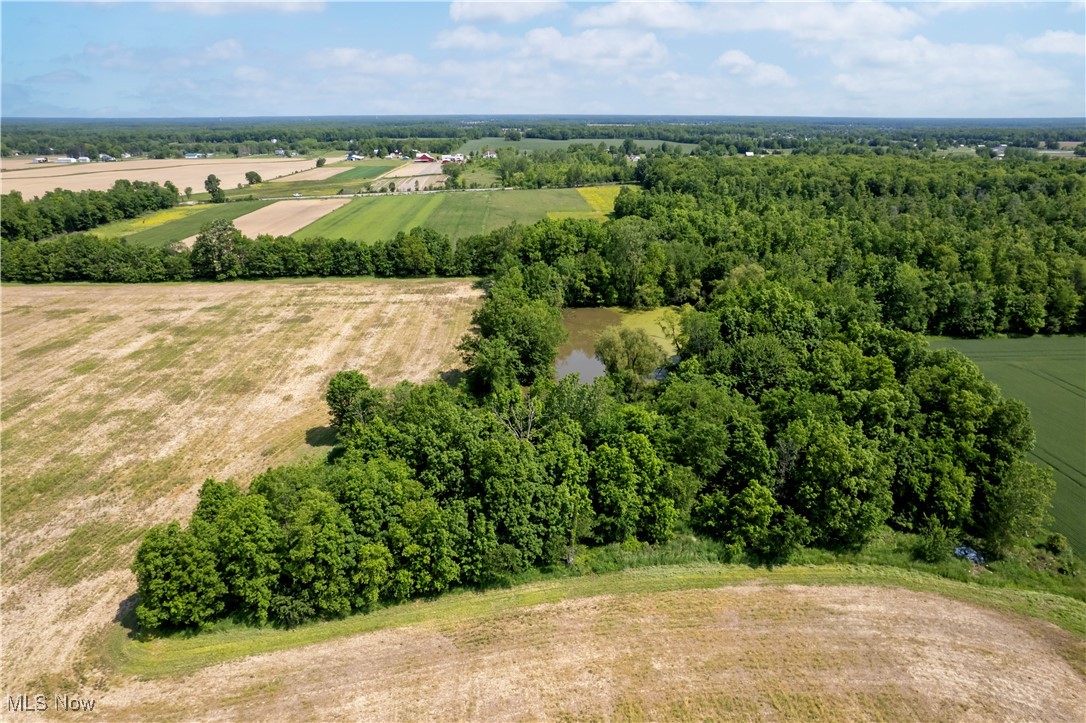 44544 Stewart Road, Wellington, Ohio image 24