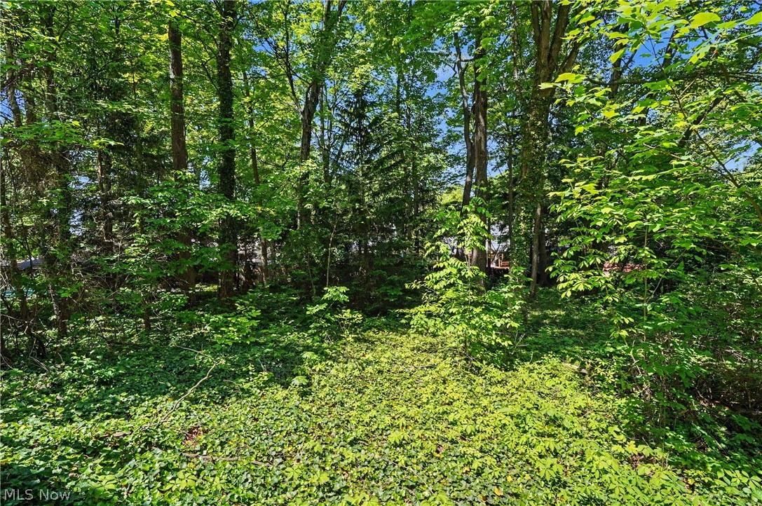 Bellridge - Residential