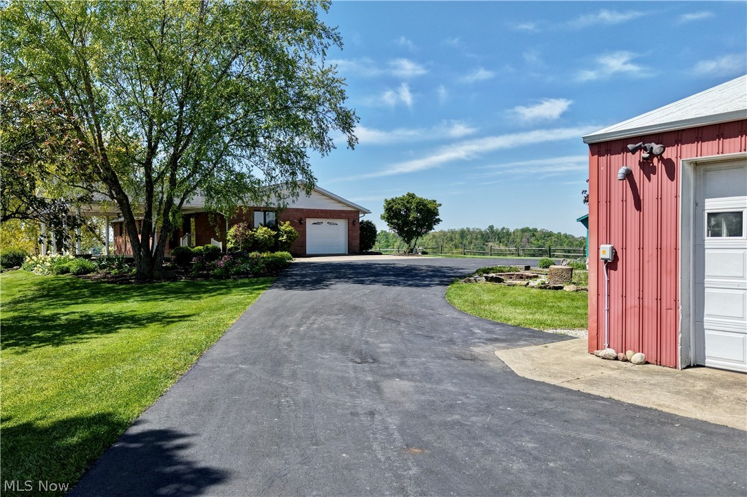 Dog Patch - Residential