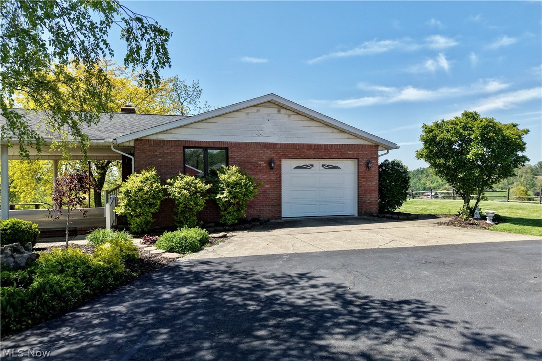 Dog Patch - Residential