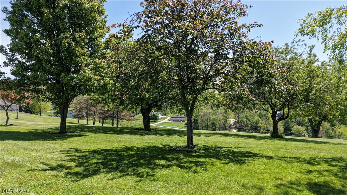 Dog Patch - Residential