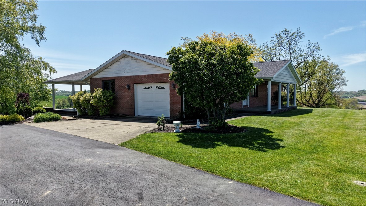 Dog Patch - Residential