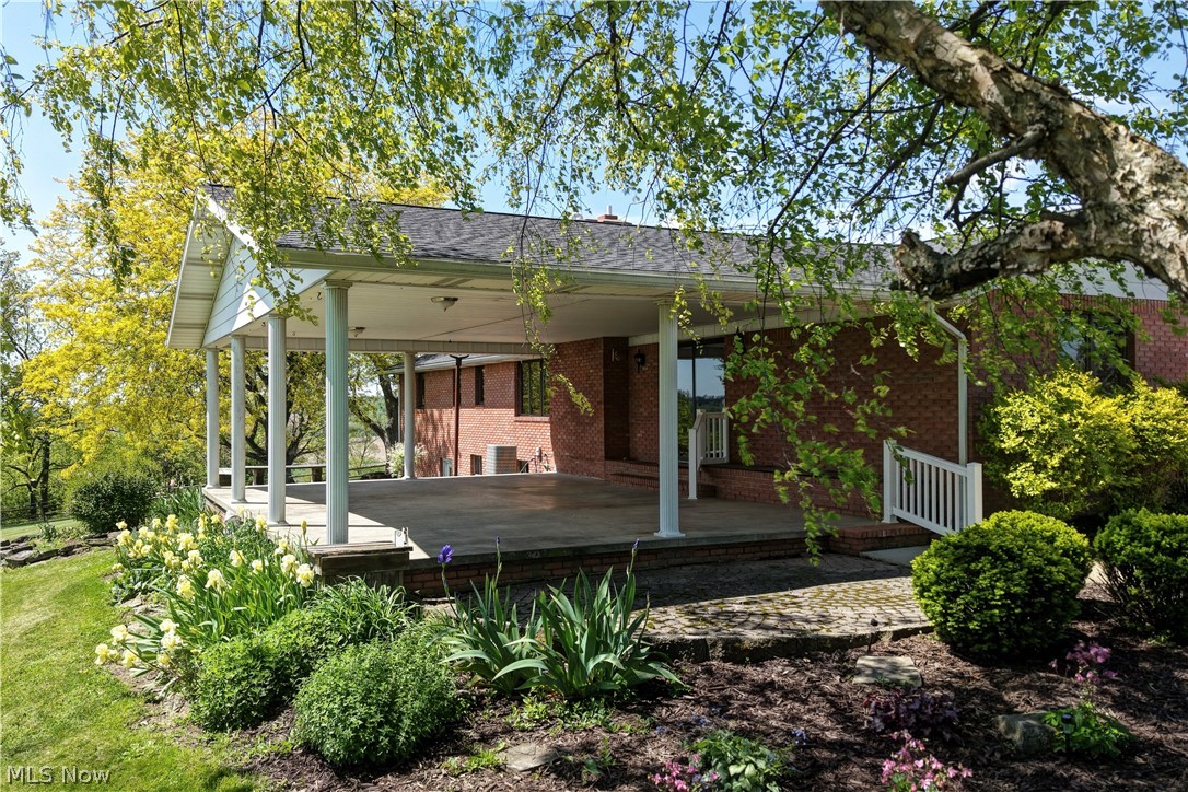 Dog Patch - Residential