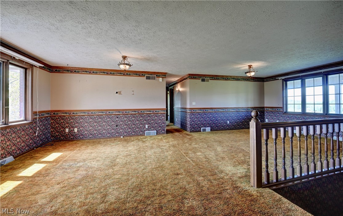 Dog Patch - Residential