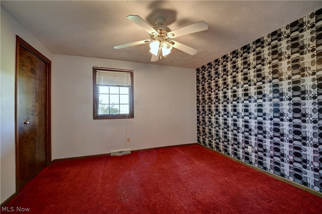 Dog Patch - Residential