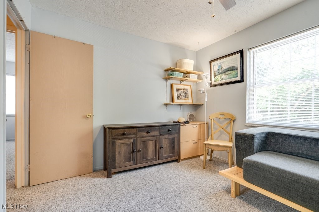 Village In T - Residential