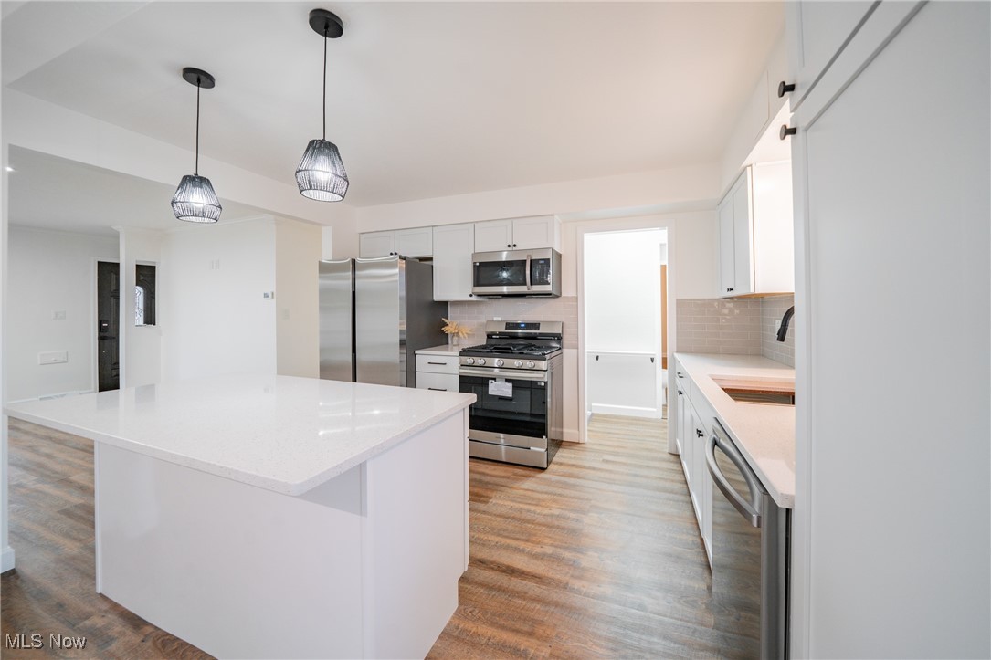 9913 Shady Lane, Cleveland, Ohio image 8