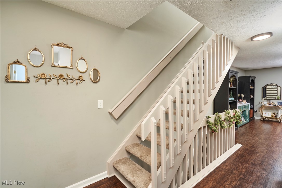 Meadows/Copley Allotment - Residential