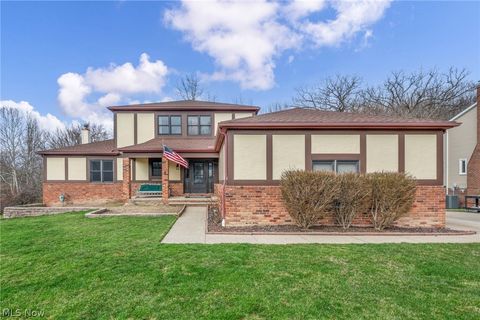 5810 Ely Vista Drive Parma OH 44129