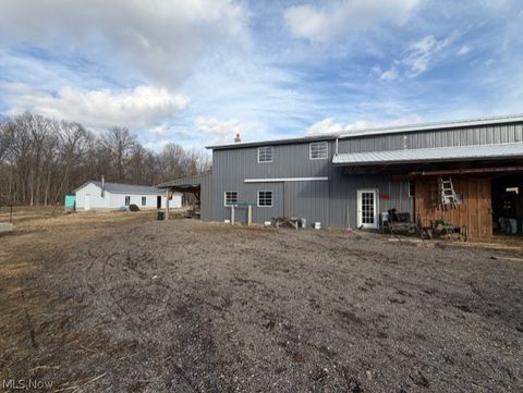 Vacant Land For Sale - 380 Flag Dale Road<br/> Perry County, Junction City, OH 43748