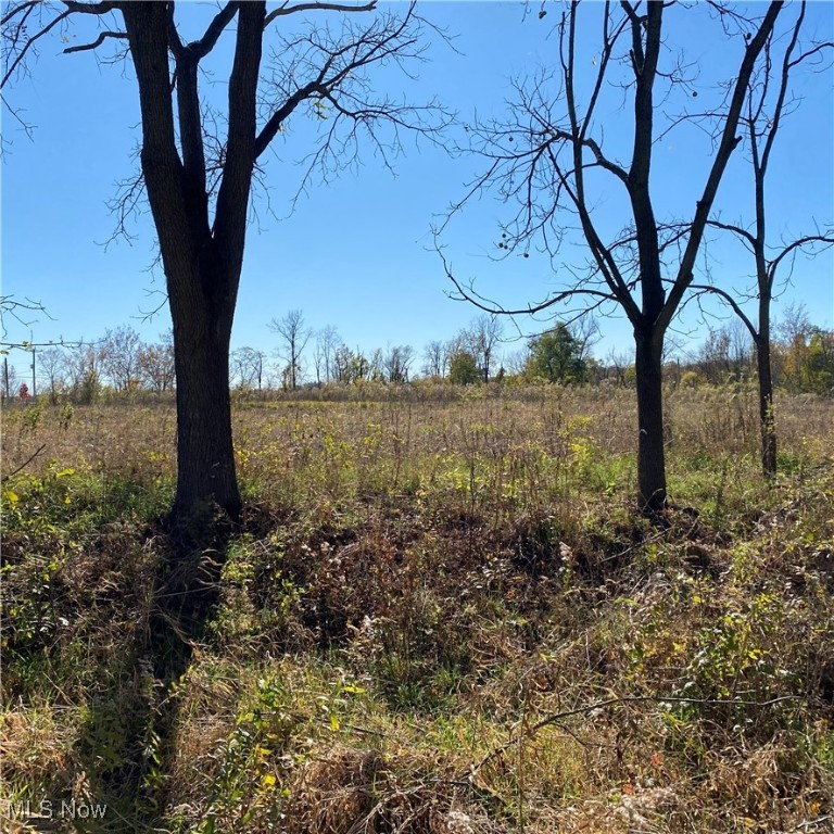 Chatham Township - Land