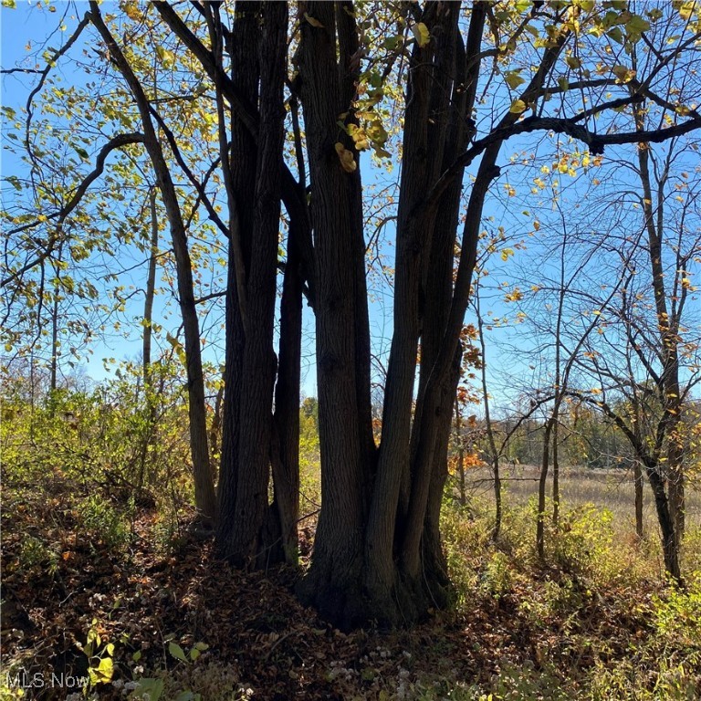 Chatham Township - Land