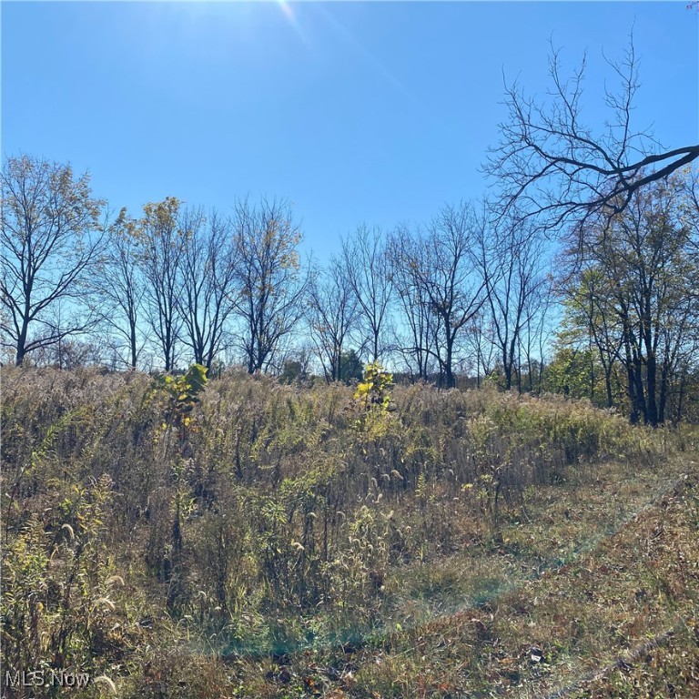 Chatham Township - Land