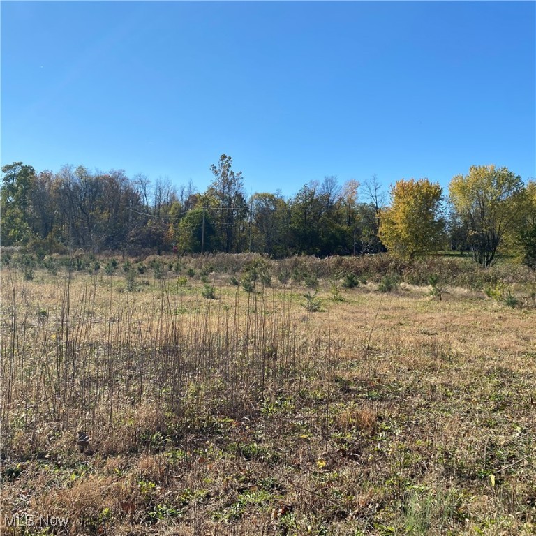 Chatham Township - Land