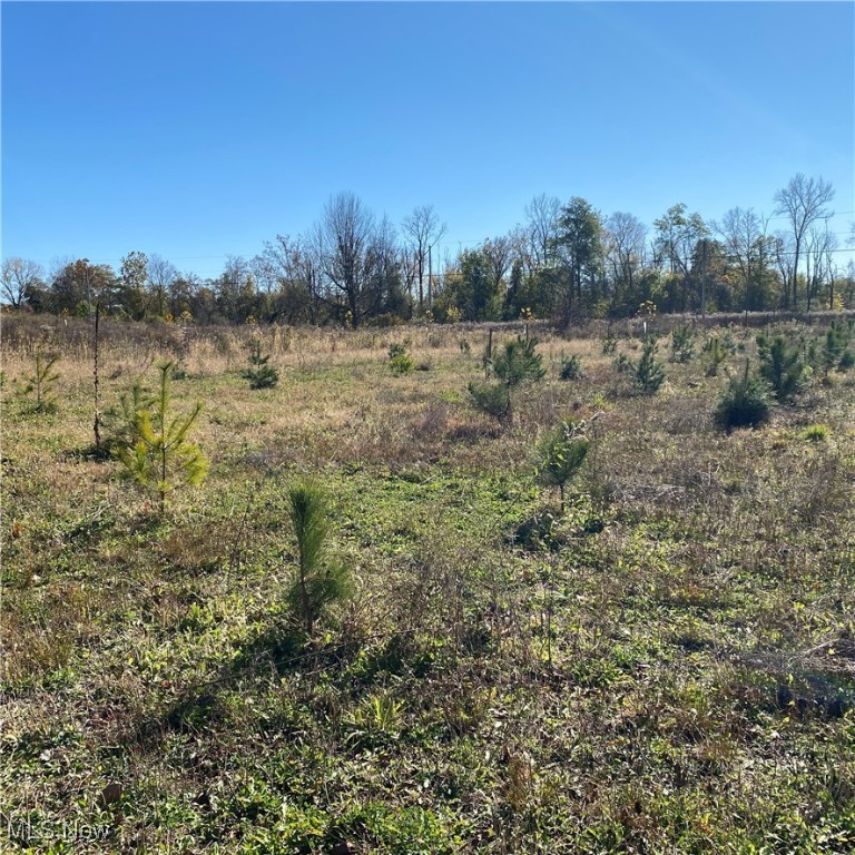 Chatham Township - Land