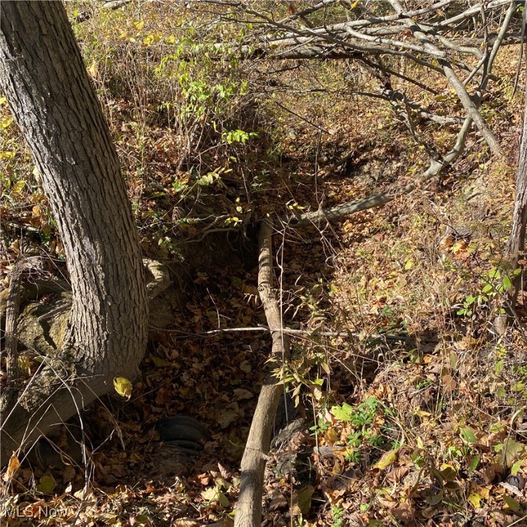 Chatham Township - Land