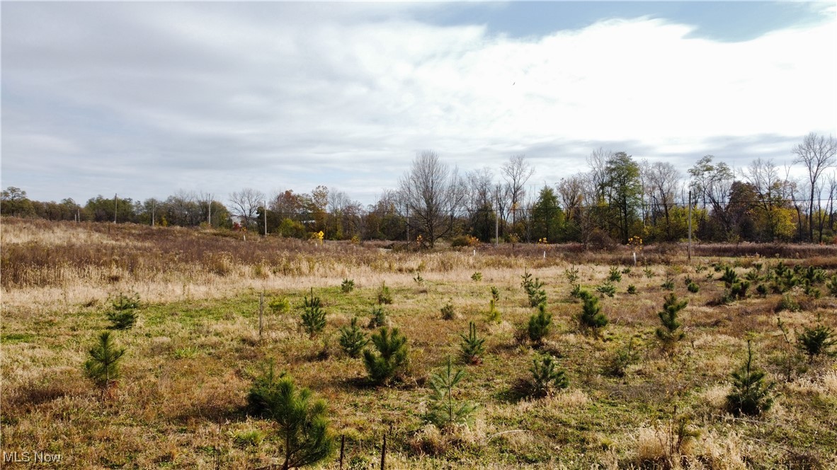 Chatham Township - Land