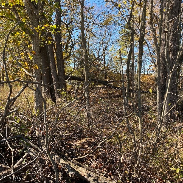 Chatham Township - Land