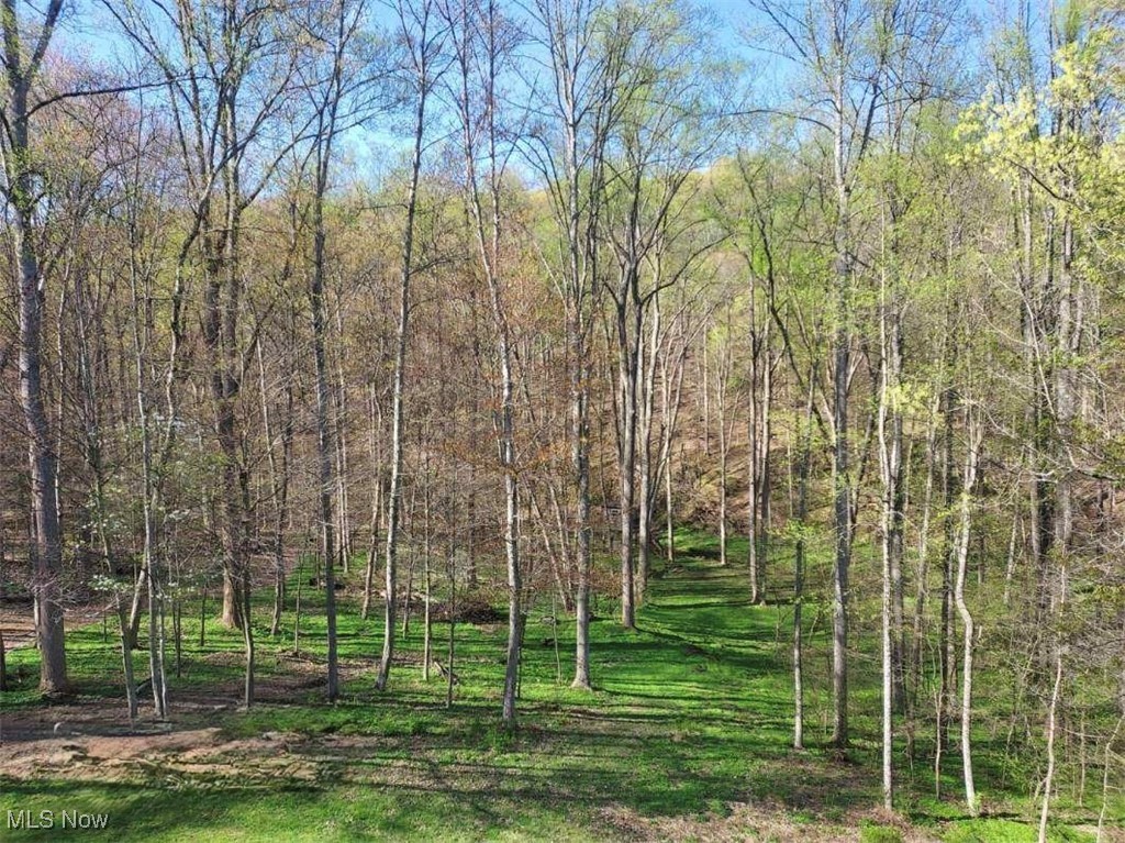 2425 W Buckhorn Drive, Millersburg, Ohio image 13