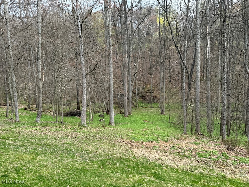 2425 W Buckhorn Drive, Millersburg, Ohio image 12