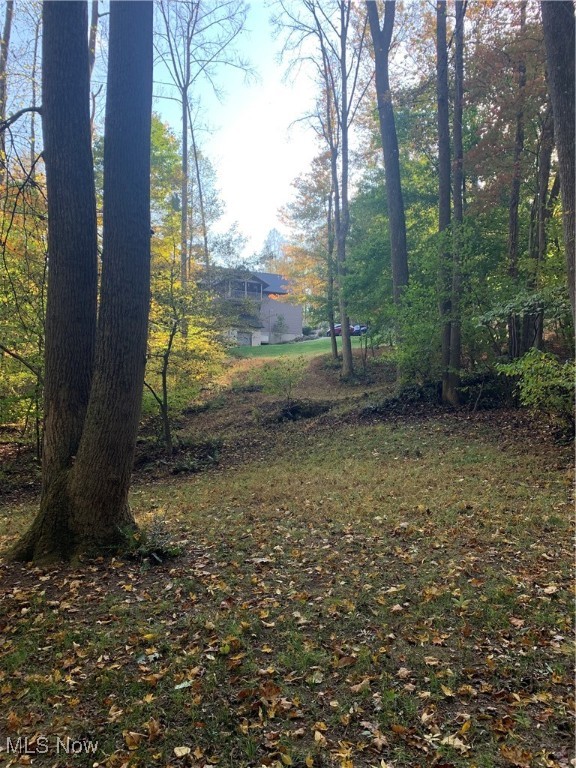 2425 W Buckhorn Drive, Millersburg, Ohio image 13