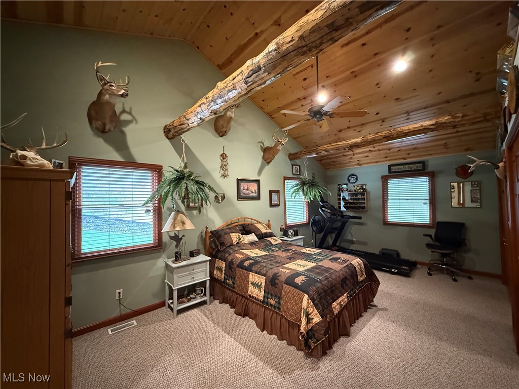2425 W Buckhorn Drive, Millersburg, Ohio image 33