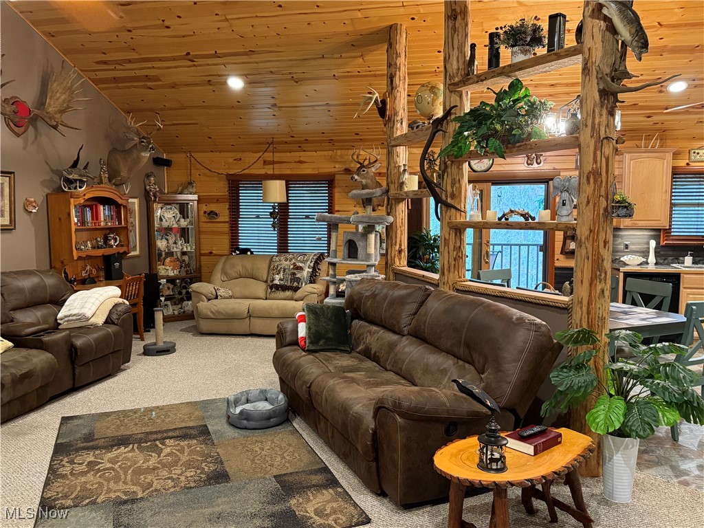 2425 W Buckhorn Drive, Millersburg, Ohio image 17