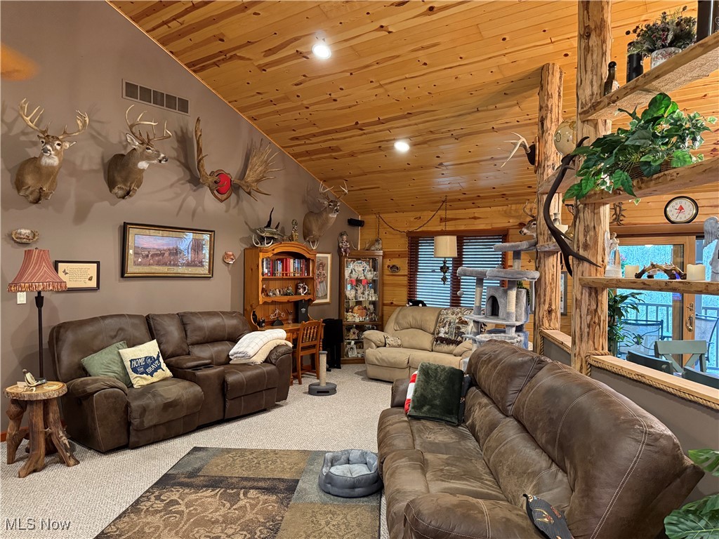 2425 W Buckhorn Drive, Millersburg, Ohio image 15