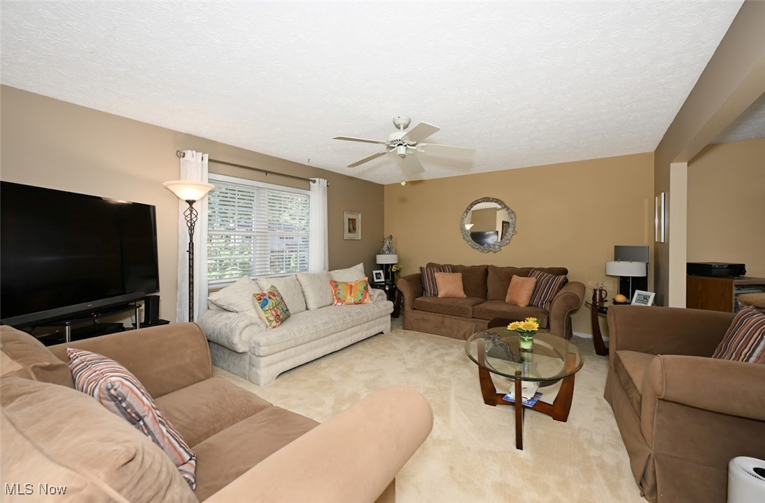 Turkeyfoot Heights - Residential