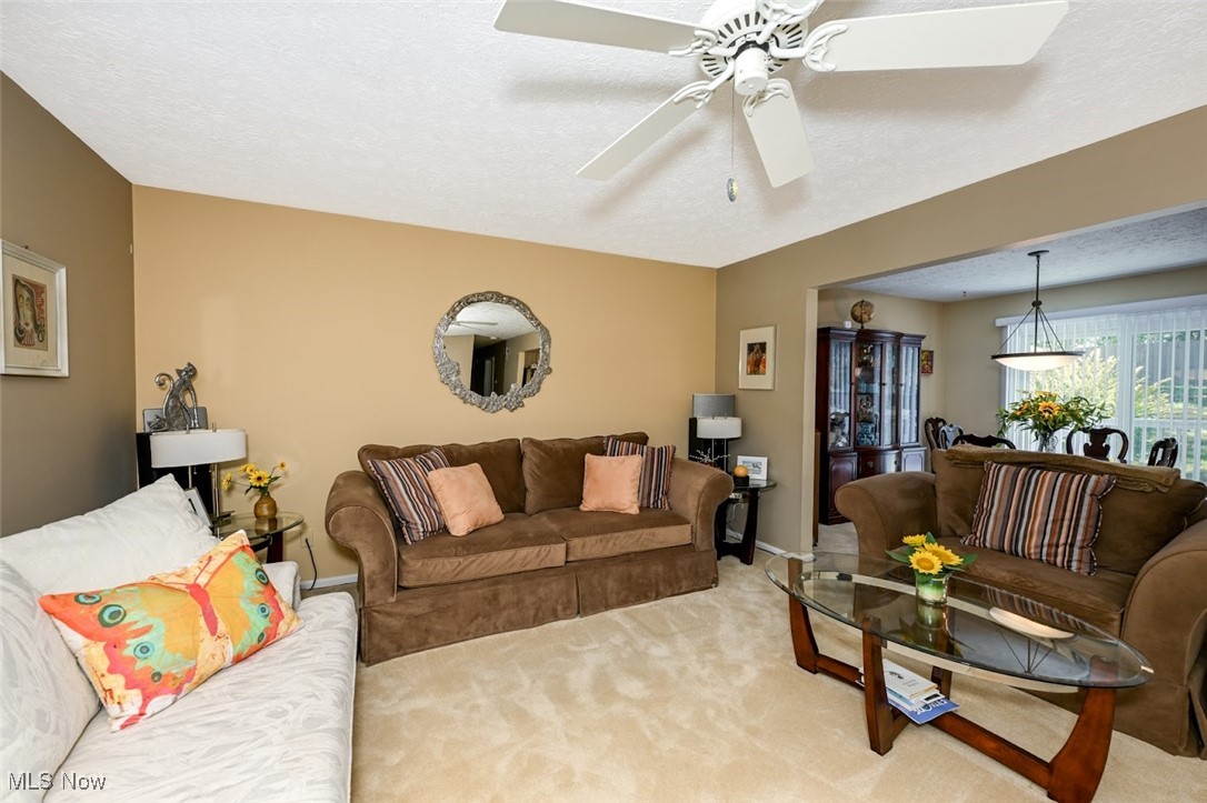 Turkeyfoot Heights - Residential