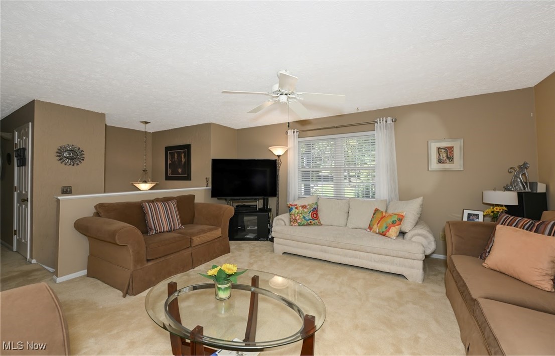 Turkeyfoot Heights - Residential