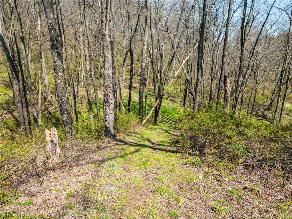 7313 County Road 22